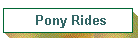 Pony Rides