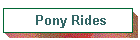 Pony Rides
